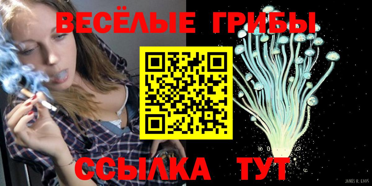 Галлюциногенные грибы Cubensis Сызрань